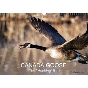 Canada Goose Parkas